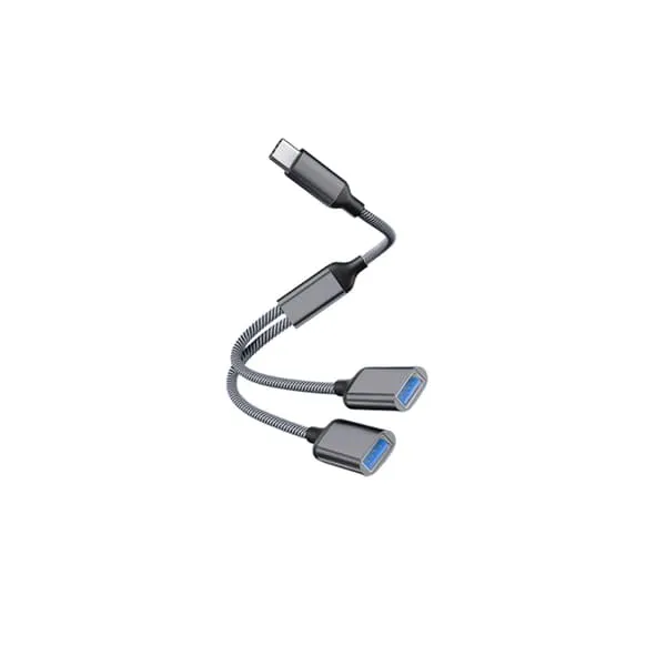 Typ-C till Dual USB 2.0-Adapter Grey