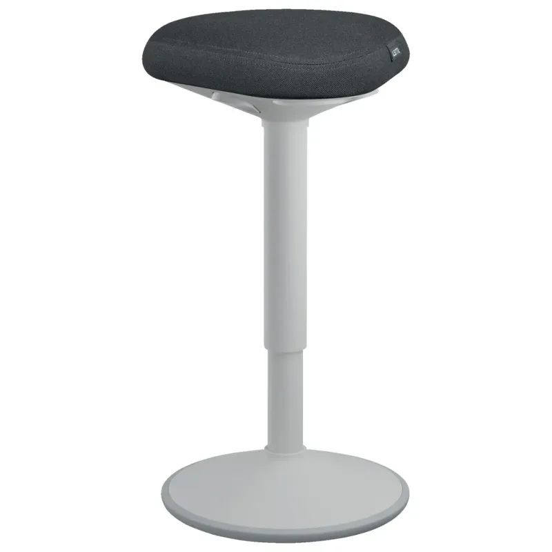 Leitz Ergo Active Ståpall med Bekväm Sits, Grå