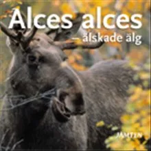 Alces alces : älskade älg