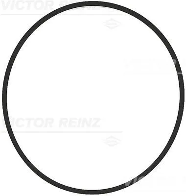 Insugspackning REINZ 71-17376-00