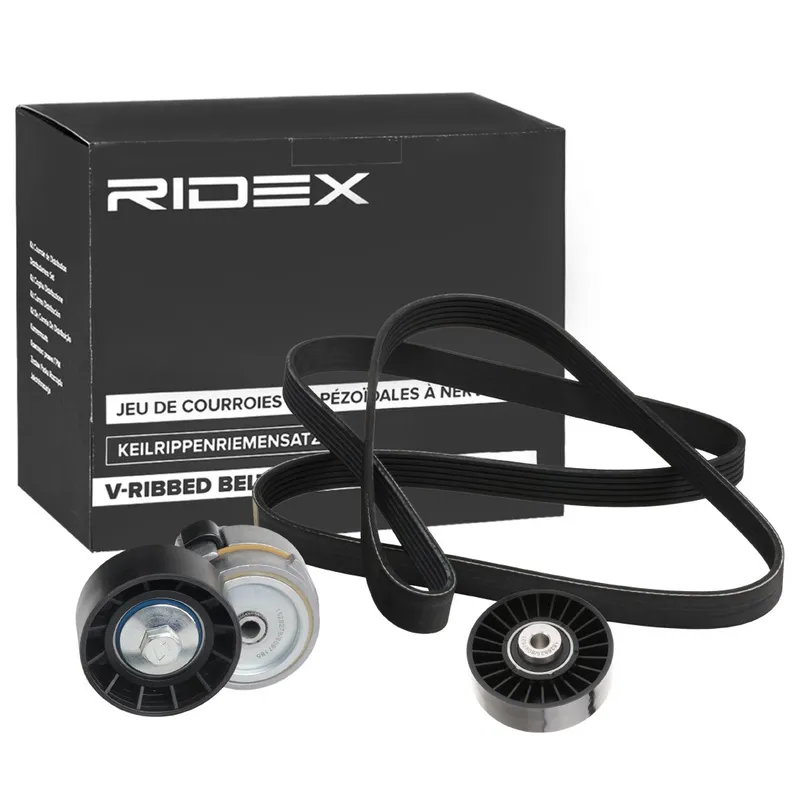 Drivremssats RIDEX 542R0919