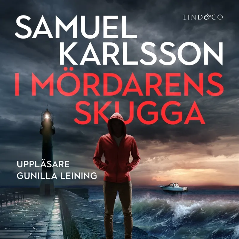 I mördarens skugga, Ljudbok
