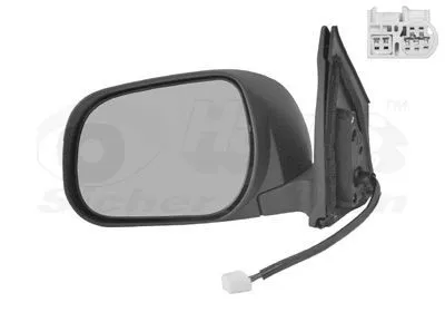VAN WEZEL 5470807 Backspegel