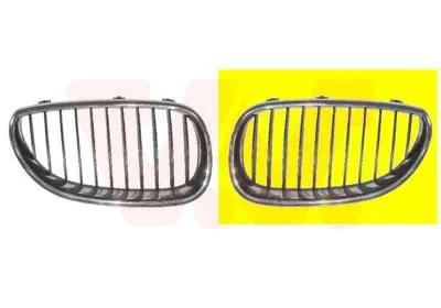 Kylargrill VAN WEZEL 0655515