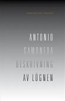 Beskrivning av lögnen