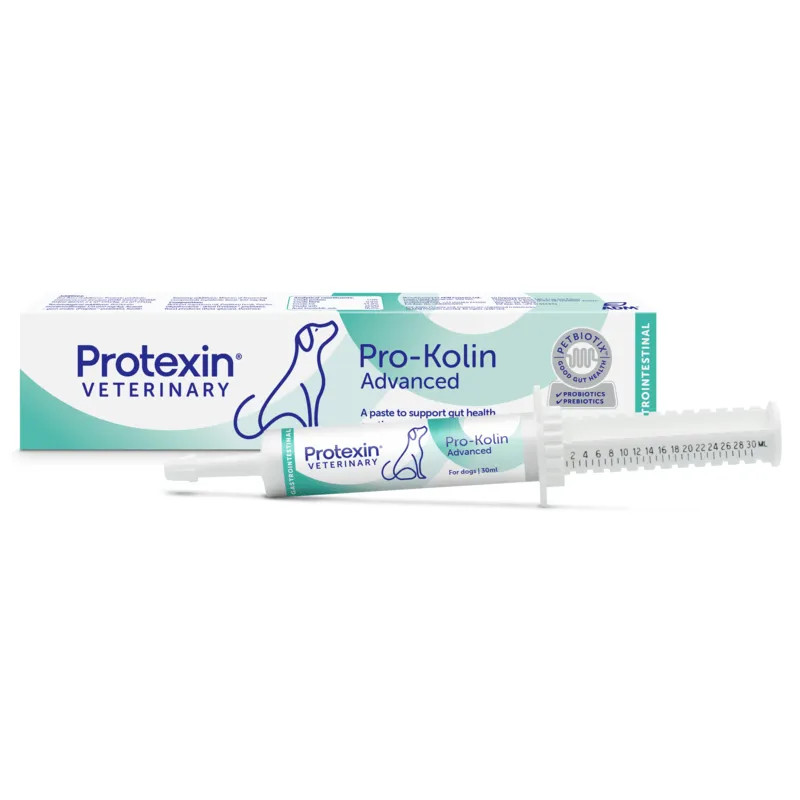 Kosttillskott Protexin Pro-Kolin Advanced Hund 30 ml