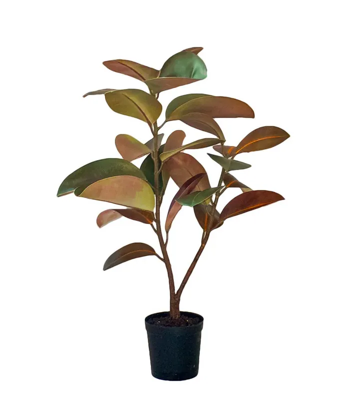 Konstväxt Fikus Elastica 90 cm