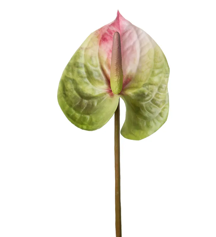Anthurium Rosagrön 60cm, Konstgjord