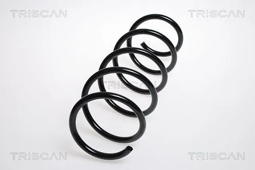 Spiralfjäder TRISCAN 8750 24133