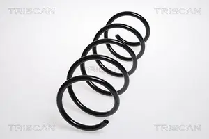 Spiralfjäder TRISCAN 8750 24133