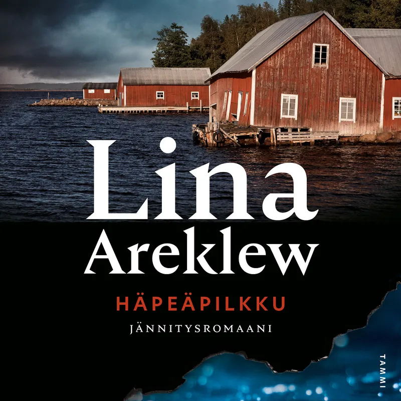 Häpeäpilkku, Ljudbok
