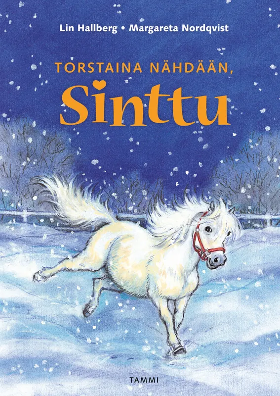 Torstaina nähdään, Sinttu, E-bok