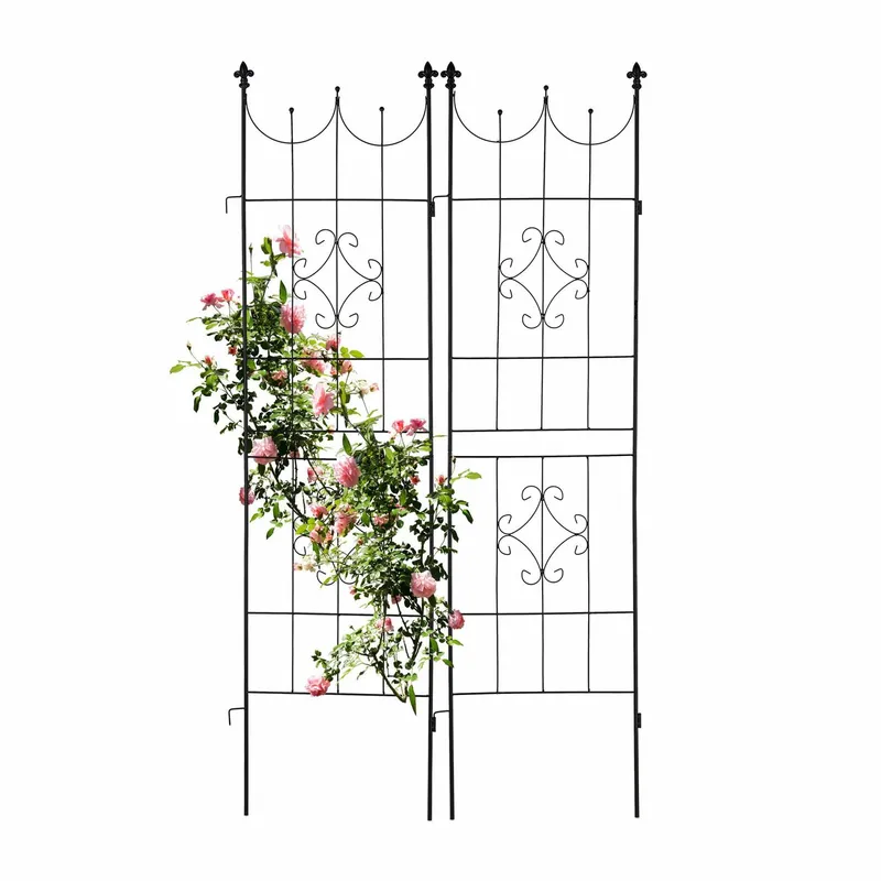 Bilderram Set om 2 20 x 30 cm