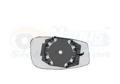 Backspegelglas VAN WEZEL 1709831