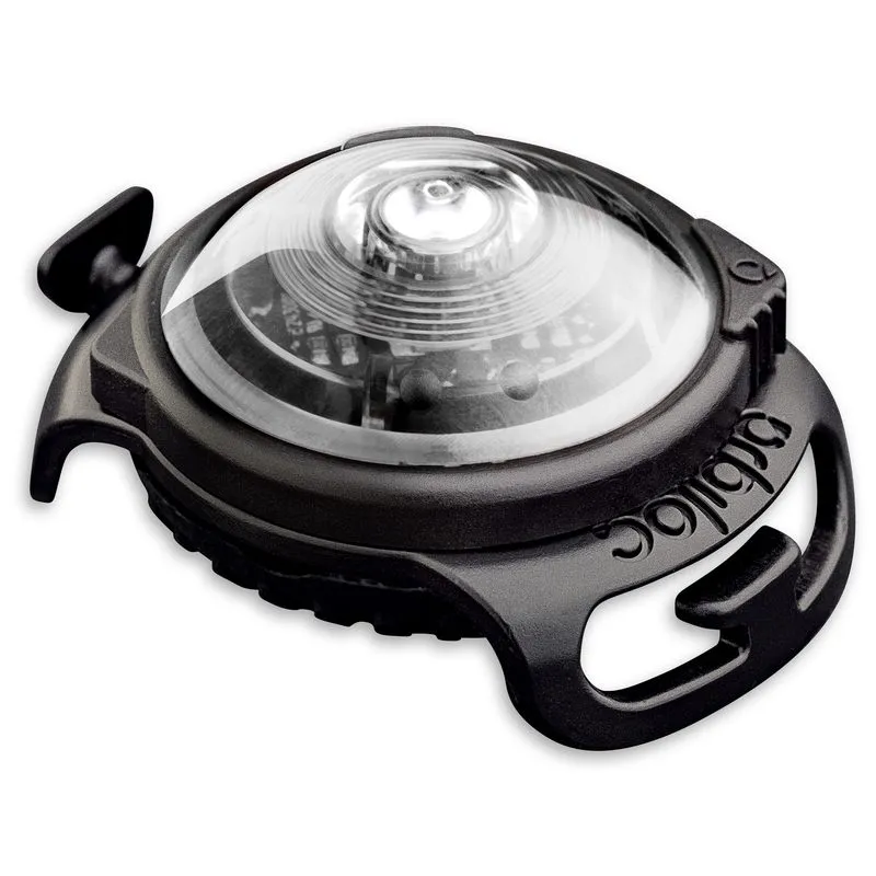 Orbiloc Säkerhetslampa till hund (#1048)