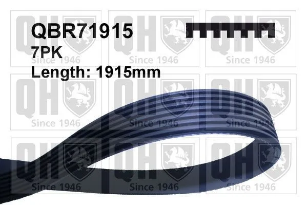 Multirem Quinton Hazell QBR71915