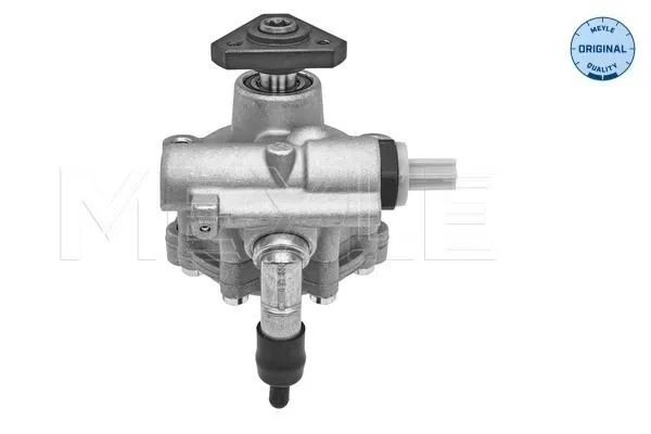 Servopump MEYLE 16-16 631 0001