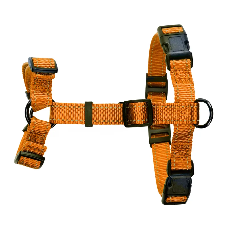 Dogman H-sele Iris orange 20mm