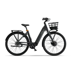 Ecoride Ambassador-4-Hubmotor-Belt-Disc-Black-Large