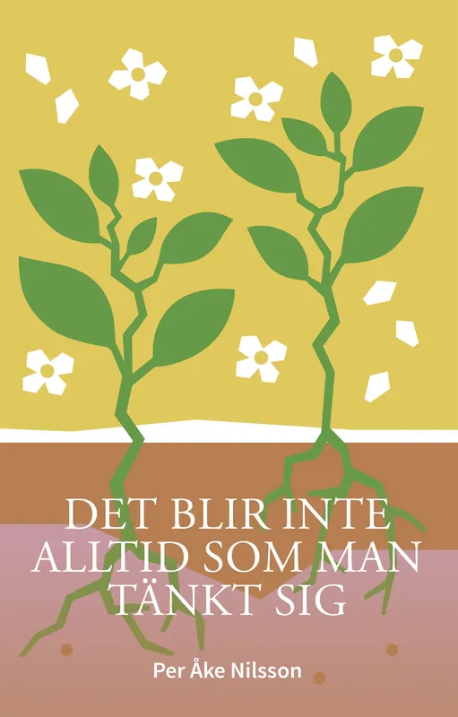 Det blir inte alltid som man tänkt sig, E-bok