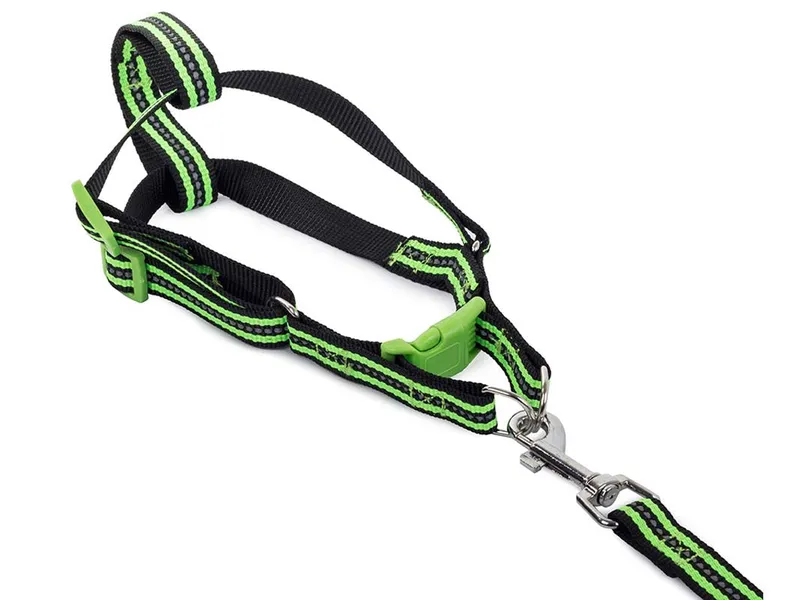 Koppel med sele - Reflex - 125 cm - Strl L - Grön (#1585)