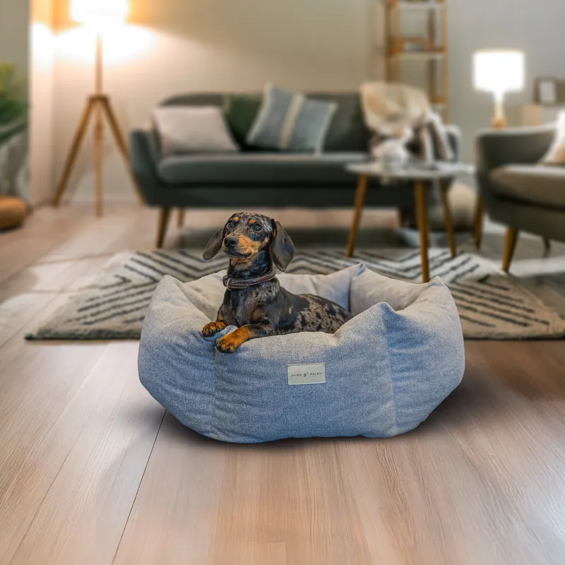 Hexa Rest Hundbädd Ljusgrå M ø90cm