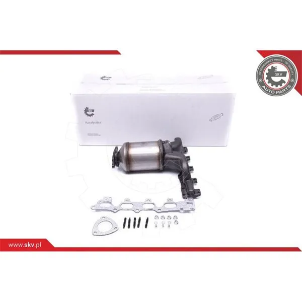 Katalysator ESEN SKV 62SKV002