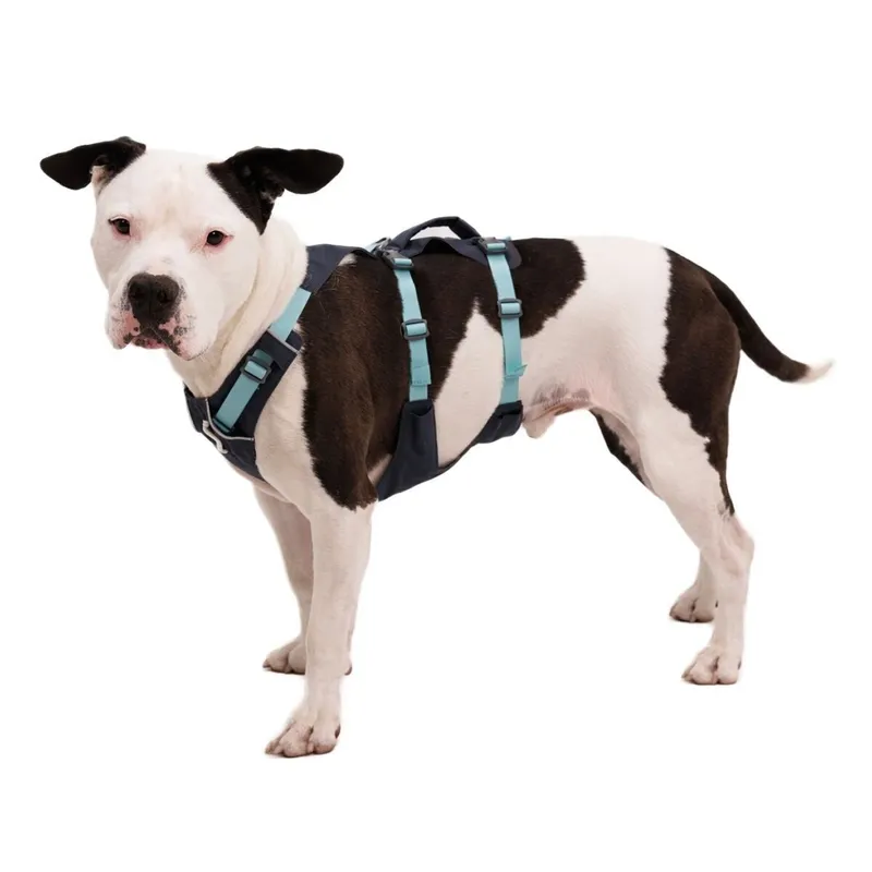 Ruffwear Flagline™ Harness Basalt Gray