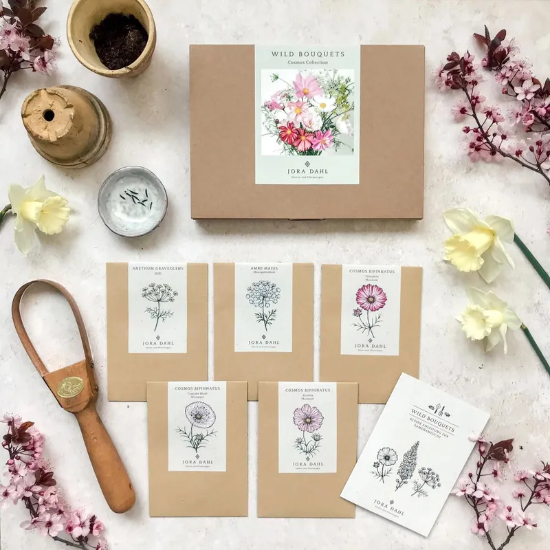 Fröbox Wild Bouquets Cosmos Collection