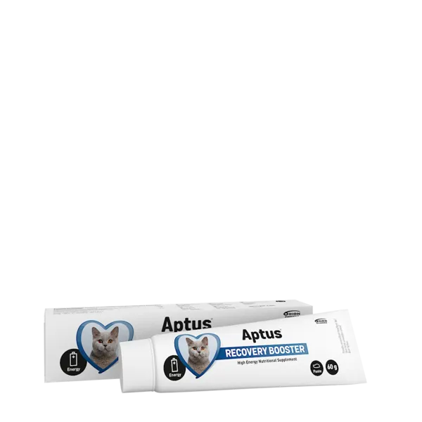 Näringstillskott Orion Pharma Aptus Recovery Booster Katt 60g