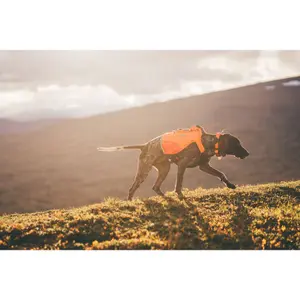Non-stop Dogwear Protector Vest Gps Orange