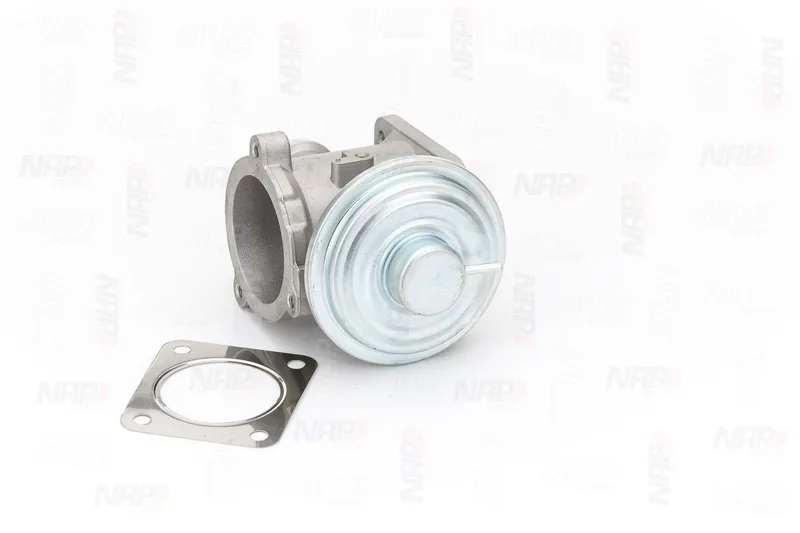 EGR-ventil NAP carparts CAV10134