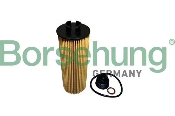 Oljefilter Borsehung B10436
