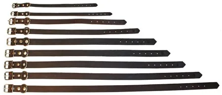 ALAC Läderhalsband Mörkbrun 12mm x 35cm