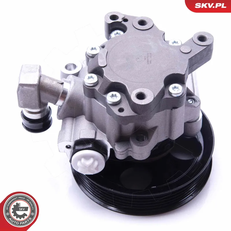 Servopump ESEN SKV 10SKV272