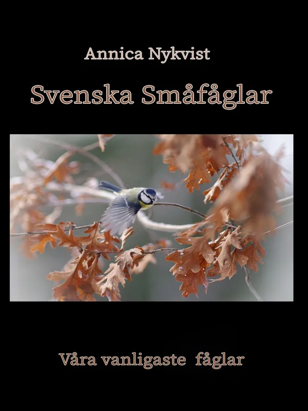 Svenska Småfåglar: våra vanligaste fåglar, E-bok