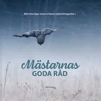 Mästarnas goda råd