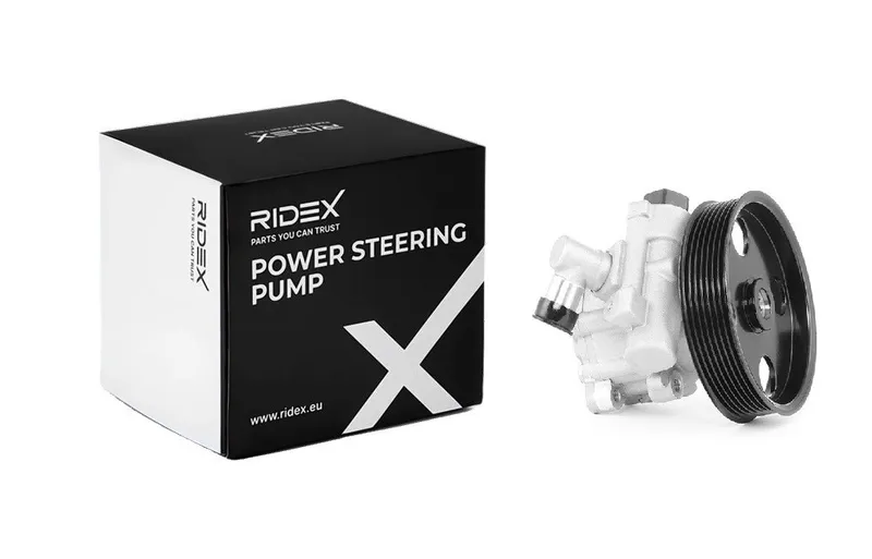 Servopump RIDEX 12H0103