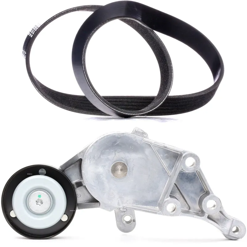 Drivremssats RIDEX 542R0616