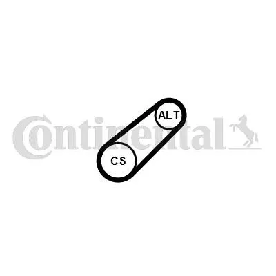 Multirem Contitech 6PK799 Elast