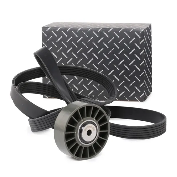 Drivremssats RIDEX 542R0379
