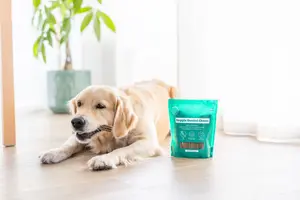 Buddy Pet Foods Buddy Veggie Dental Chew 250 g