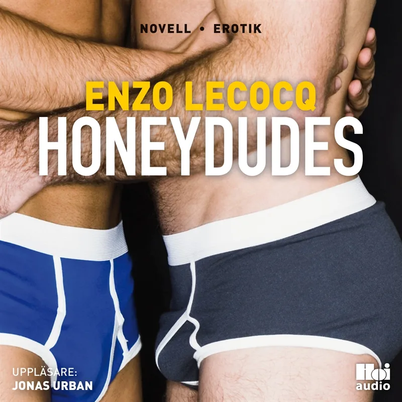 Honeydudes, Ljudbok