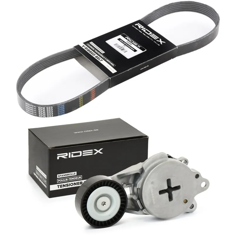 Drivremssats RIDEX 542R0812