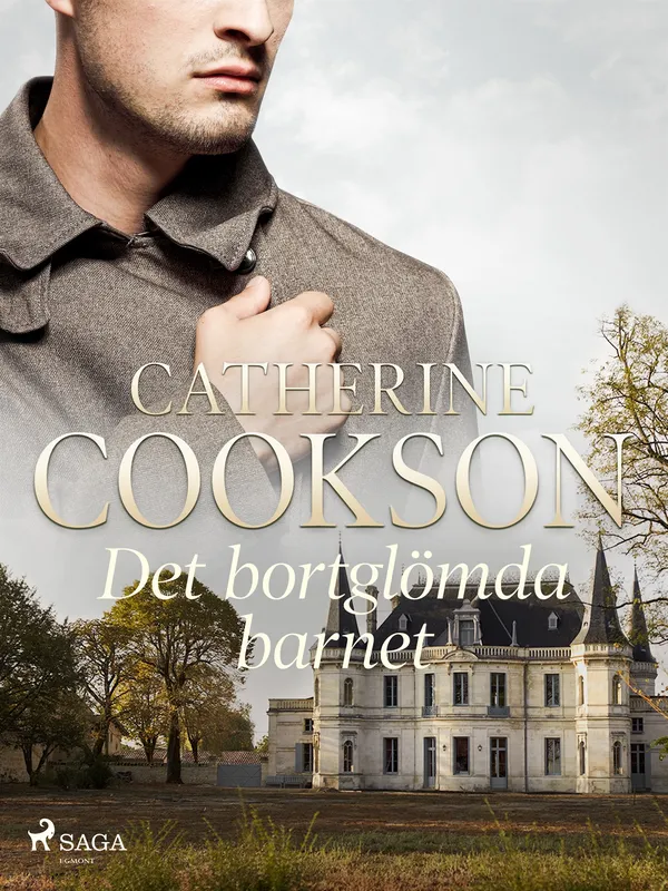 Det bortglömda barnet, E-bok