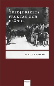 Tredje rikets fruktan och elände