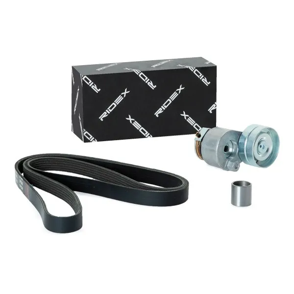 Drivremssats RIDEX 542R0455
