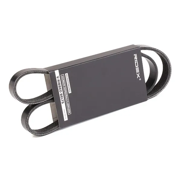 Multirem RIDEX 305P0164