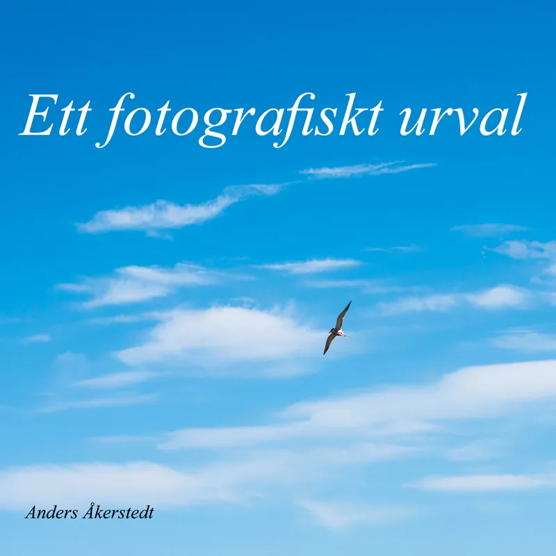 Ett fotografiskt urval, E-bok