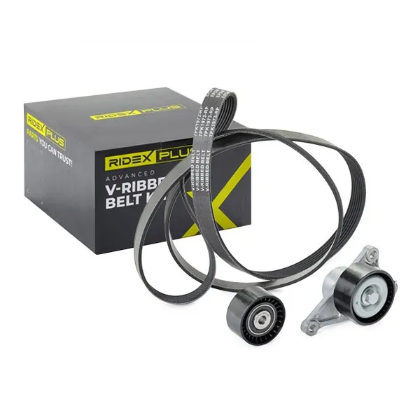 Drivremssats RIDEX PLUS 542R0022P